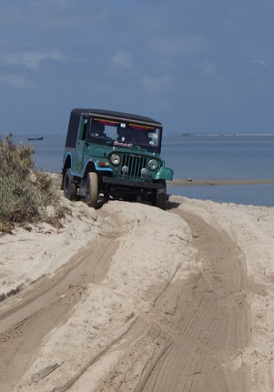 indus Holidays