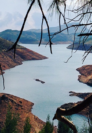 indus Holidays