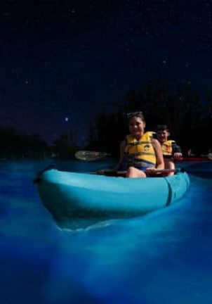 indus Holidays